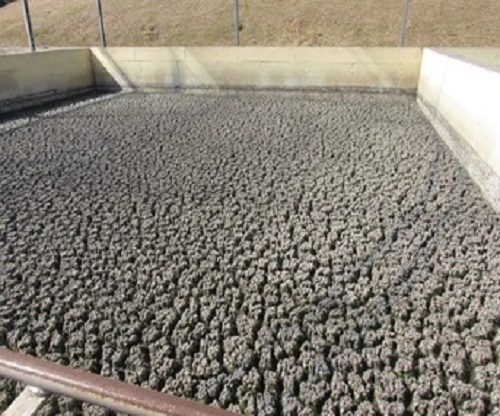 Sludge Treatment
