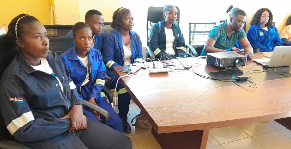 Virtual orientation and mentorship programme for our Young Professional